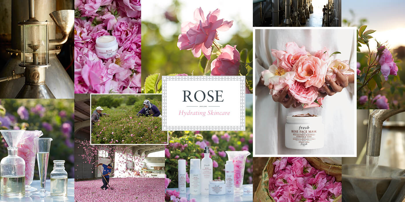Fresh,Rose Floral Toner 15 ml,โทนเนอร์กุหลาบ,เฟรช, Fresh Rose Floral Toner ราคา, Fresh Rose Floral Toner รีวิว, Fresh Rose Floral Toner ดีไหม, Fresh Rose Floral Toner ซื้อได้ที่
