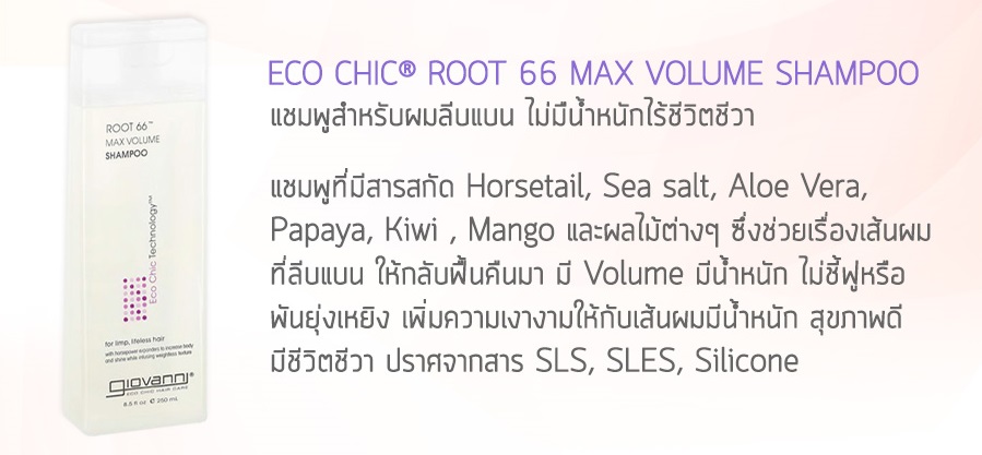 Giovanni, Eco Chic® Root 66 Max Volume Conditioner,Conditioner giovanni,ครีมนวดสำหรับผมลีบแบน