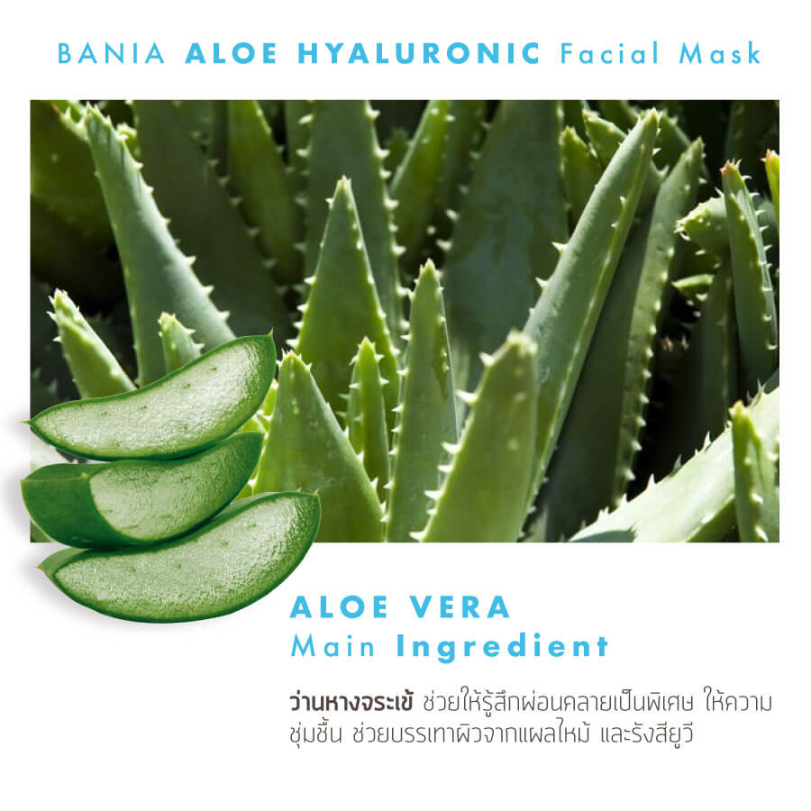 BANIA,BANIA Aloe Hyaluronic Mask,BANIA Aloe Hyaluronic Mask ราคา,BANIA มาร์ค ราคา,bania ราคา,bania mask