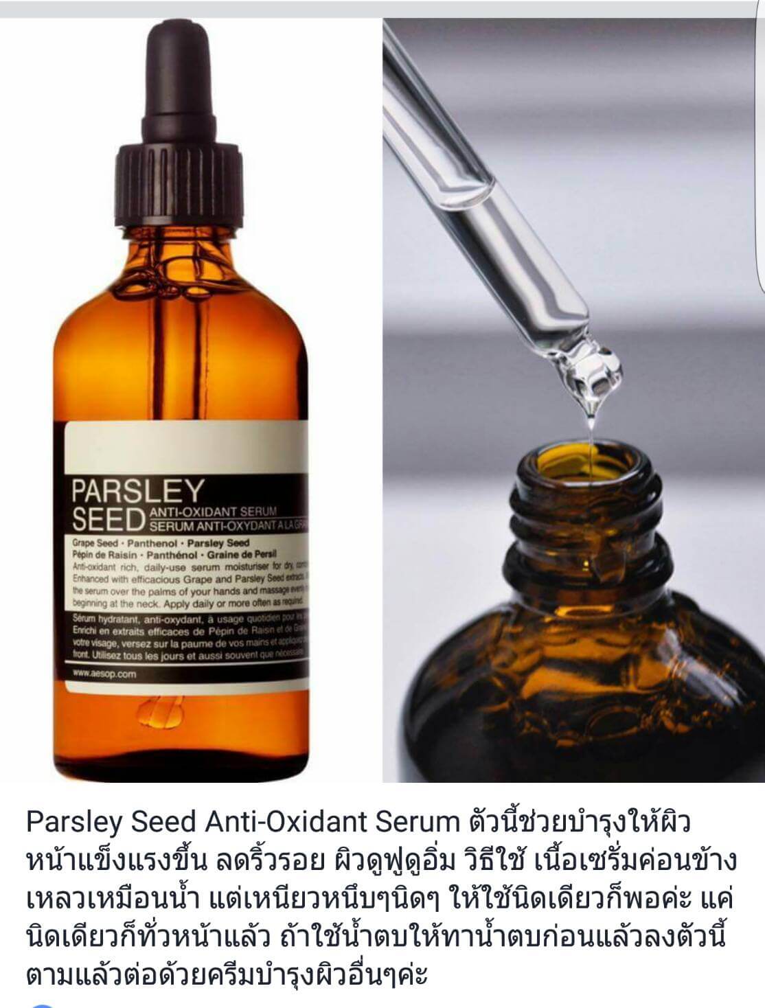 aesop, aesop รีวิว,Parsley Seed Anti-Oxidant Serum 15 ml , aesop ราคา, aesop parsley seed anti-oxidant serum รีวิว, aesop parsley seed anti-oxidant serum, aesop ตัวไหนดี, aesop กระชับรูขุมขน, aesop ขาย, aesop ขายที่ไหน, ซื้อ aesop online, aesop ดีไหม, aesop ในไทย, 
