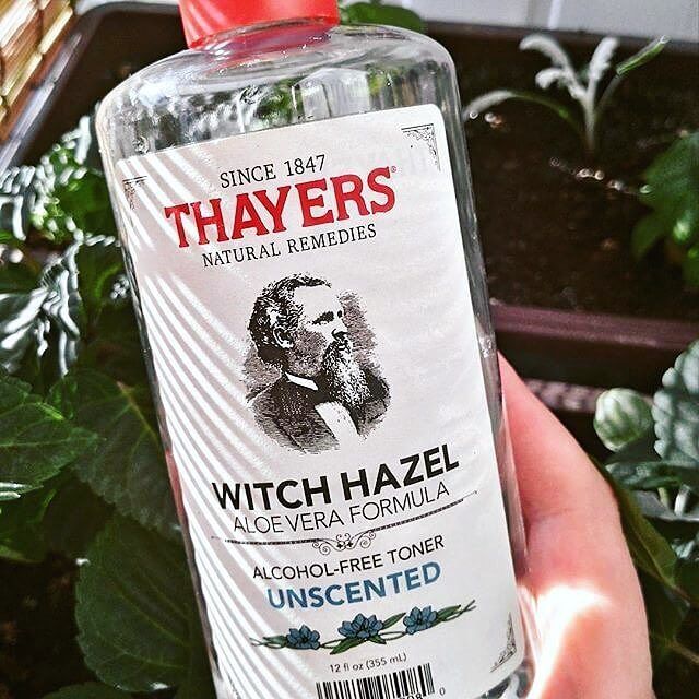 Thayers, Thayers Unscented Witch Hazel W/Organic Aloe Vera,1 Thayers Unscented Witch Hazel W/Organic Aloe Vera รีวิว, Thayers Unscented Witch Hazel W/Organic Aloe Vera ราคา, Thayers Unscented Witch Hazel W/Organic Aloe Vera (Alcohol-Free), Thayers Unscented Witch Hazel W/Organic Aloe Vera (Alcohol-Free) 89 ml., Toner สิว, โทนเนอร์ Thayers