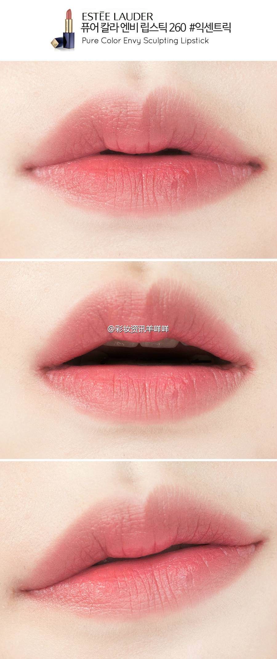 ESTEE LAUDER,ESTEE LAUDER Pure Color Envy,ESTEE LAUDER Pure Color Envy Sculpting Lipstick,ESTEE LAUDER Pure Color Envy Sculpting Lipstick ราคา,ESTEE LAUDER Pure Color Envy Sculpting Lipstick รีวิว,ESTEE LAUDER Pure Color Envy Sculpting Lipstick 131 Bois de Rose