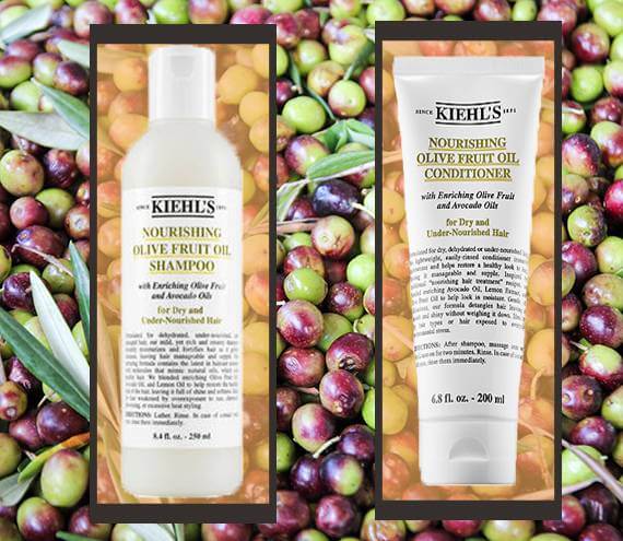 Kiehl's ,  Olive Fruit Oil  , Kiehl's Shampoo , Shampoo Kiehl's , Kiehl's Nourishing Shampoo , แชมพู Kiehl's 