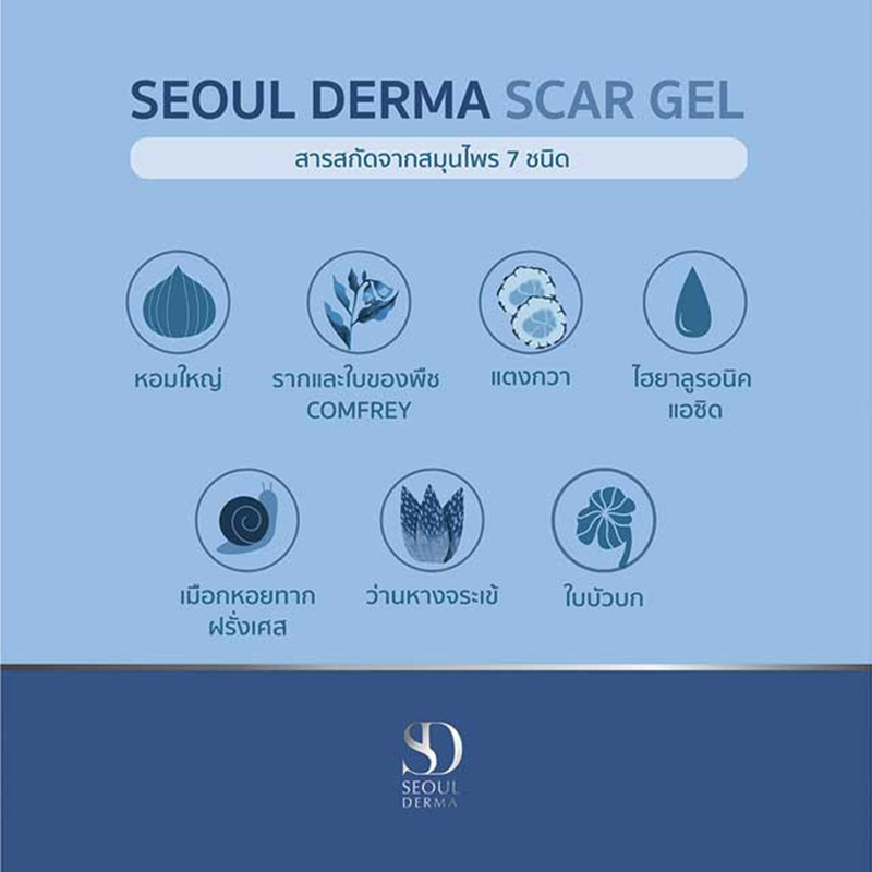 Seoul Derma ,Seoul Derma Scar Gel Healing Soothing Ani-Irriating 8g, เจลลดรอยแผล ,seoul derma scar gel ดีไหม ,seoul derma รีวิว, seoul derma scar gel ราคา ,seoul derma scar gel สรรพคุณ ,seoul derma scar gel review ,seoul derma scar gel pantip ,seoul derma scar gel รีวิว ,seoul derma ราคา