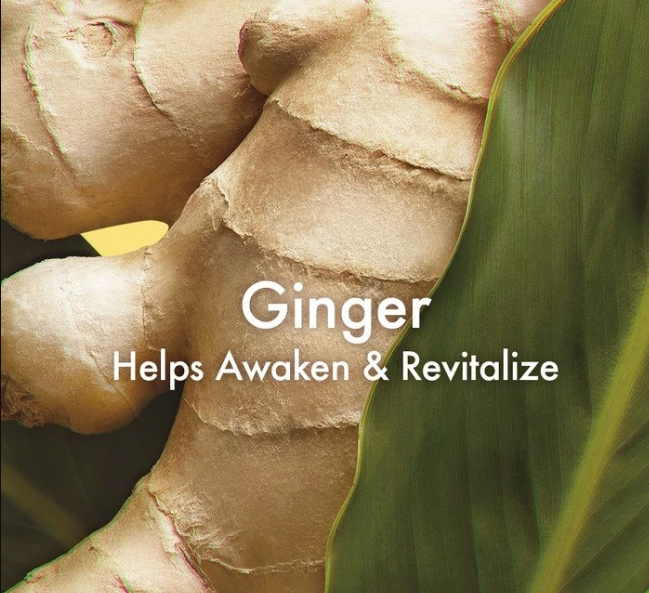 Origins Ginger Burst Savory Body Wash,Origins Ginger,Origins Ginger Burst Savory Body Wash รีิวิว,Origins Ginger body wash,,