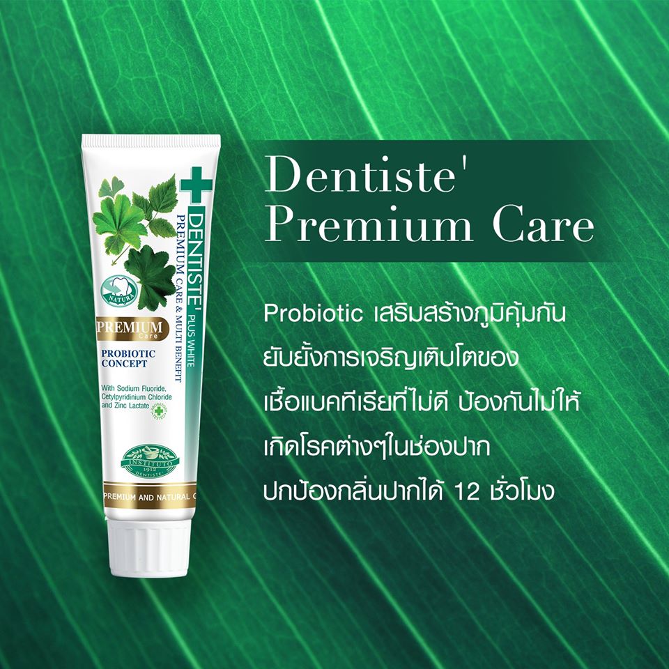 Dentiste,Dentiste Premium Care Toothpaste Tube 100g,ยาสีฟันเดนทิสเต้ ราคา,ยาสีฟันเดนทิสเต้ มีกี่สูตร,ยาสีฟันเดนทิสเต้ รีวิว,ยาสีฟันเดนทิสเต้ ดีไหม,ยาสีฟันสูตรกลางคืน,ยาสีฟันลดกลิ่นปาก,ยาสีฟันเดนทิสเต้,ยาสีฟัน dentiste