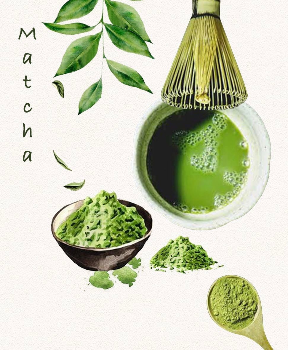 Jao Mapraw, จ้าวมะพร้าว, Jao Mapraw สบู่น้ำมันธรรมชาติสกัดเย็นออร์แกนิก, Jao Mapraw สบู่น้ำมันธรรมชาติสกัดเย็นออร์แกนิก (Match Green Tea Soap), สบู่น้ำมันธรรมชาติสกัดเย็นออร์แกนิก (Match Green Tea Soap), Jao Mapraw รีวิว, Jao Mapraw ราคา, สบู่, สบู่ชาเขียว, สบู่ออร์แกนิก