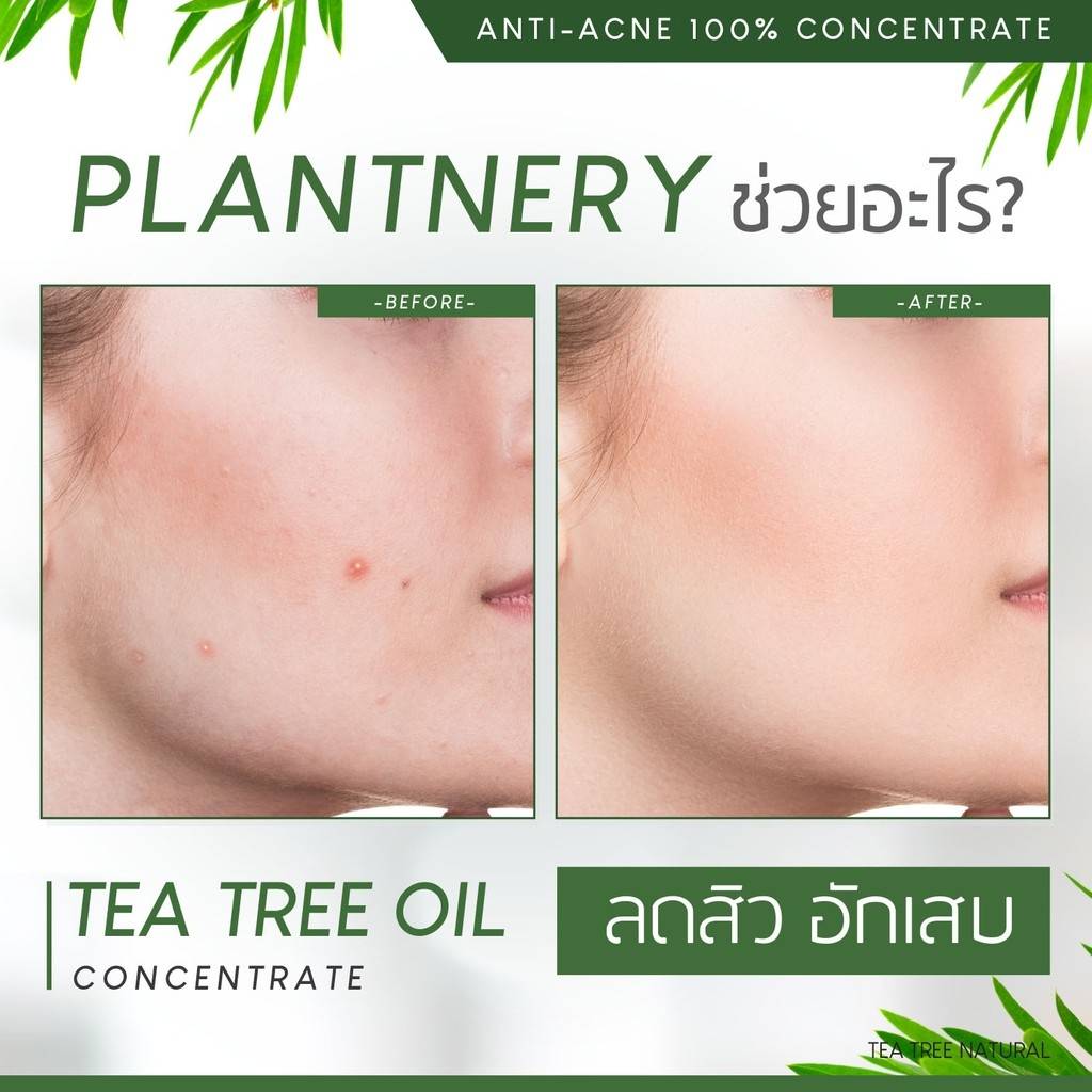 Plantnery Tea Tree Oil Concentrate