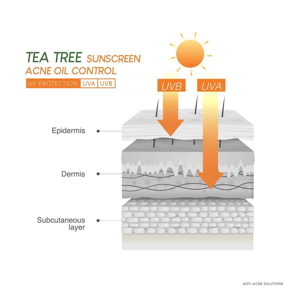 Plantnery Tea Tree Sunscreen Acne Oil Control