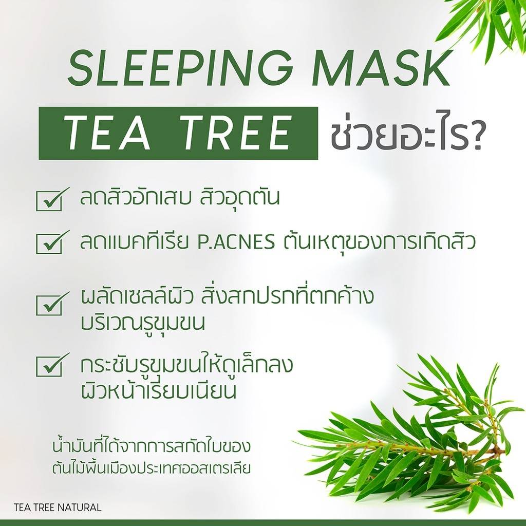Plantnery Tea Tree Sleeping Mask