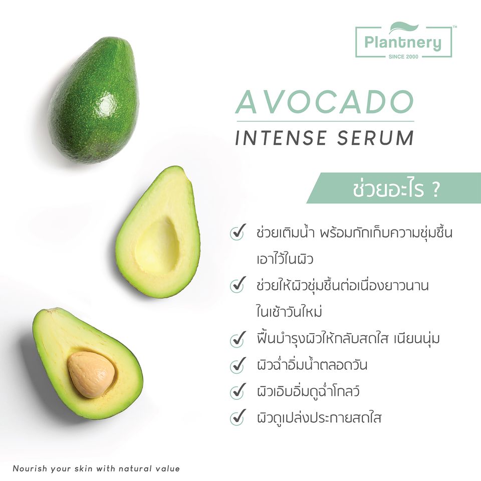 Plantnery Avocado Intense Serum 30ml
