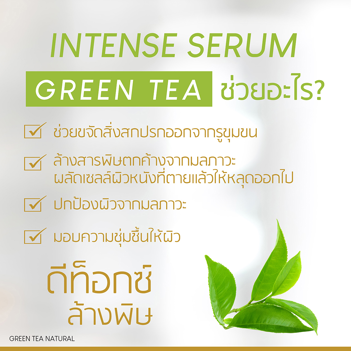 Plantnery Green Tea Detoxify Serum 30ml