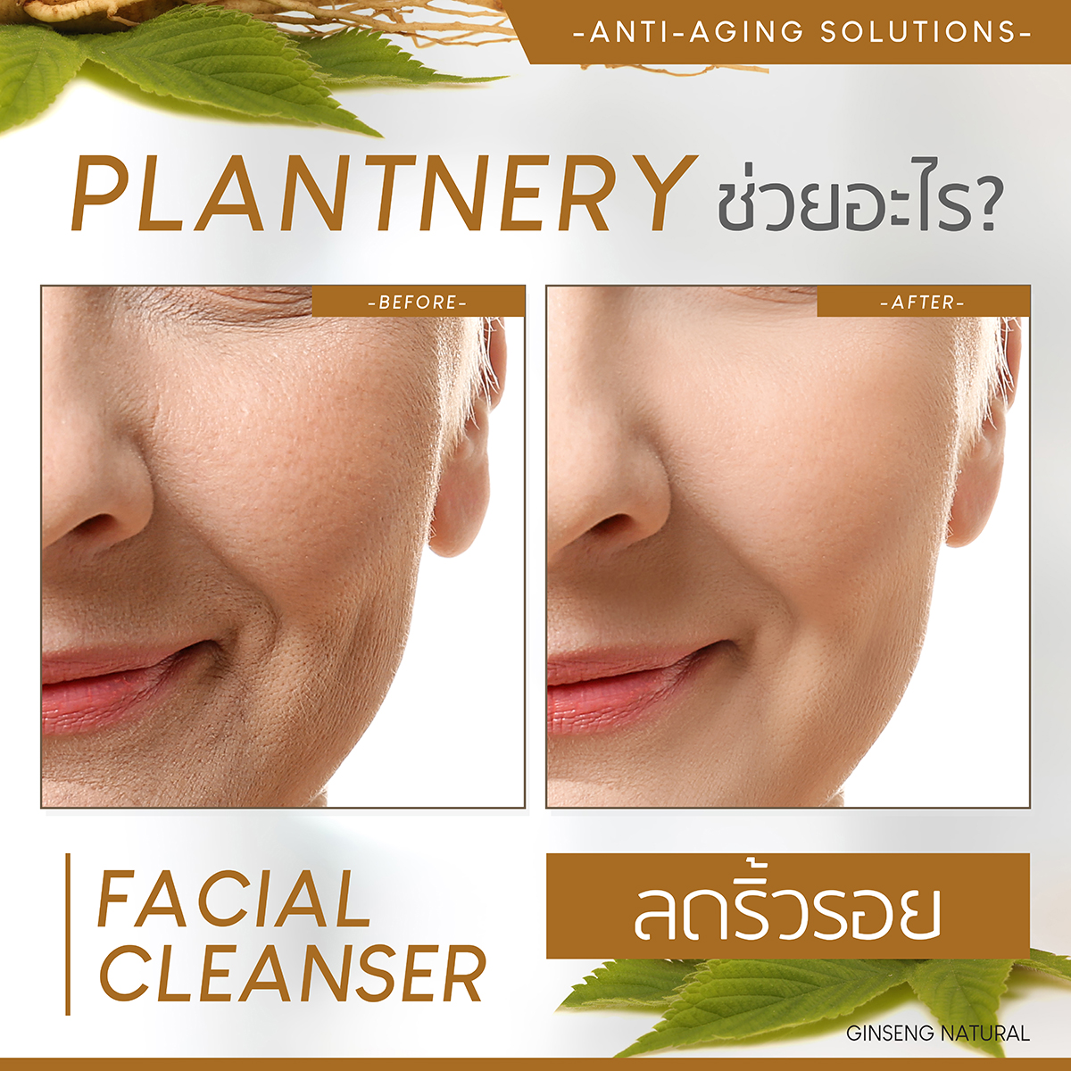 Plantnery Ginseng Facial Cleanser 250ml 
