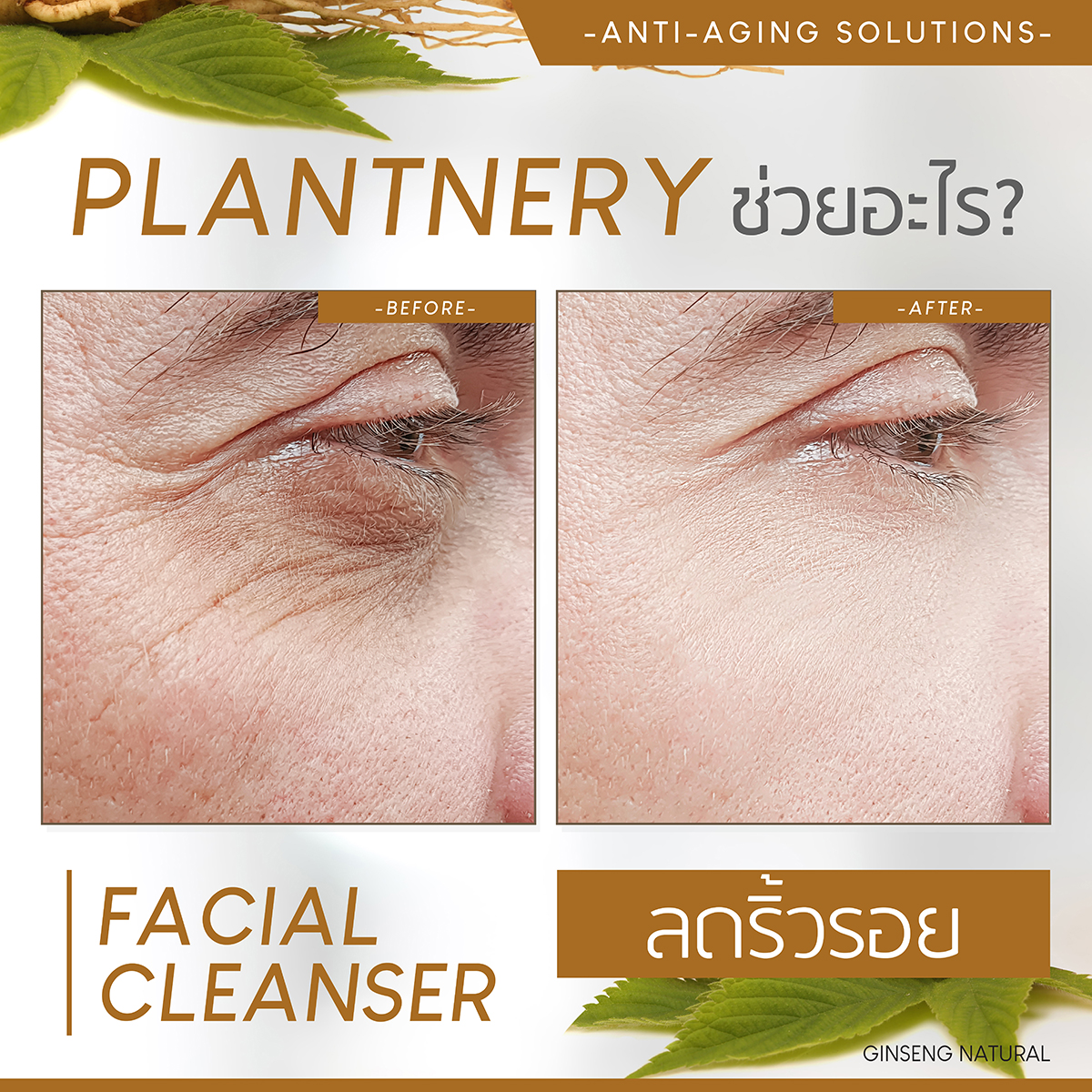 Plantnery Ginseng Facial Cleanser 250ml 