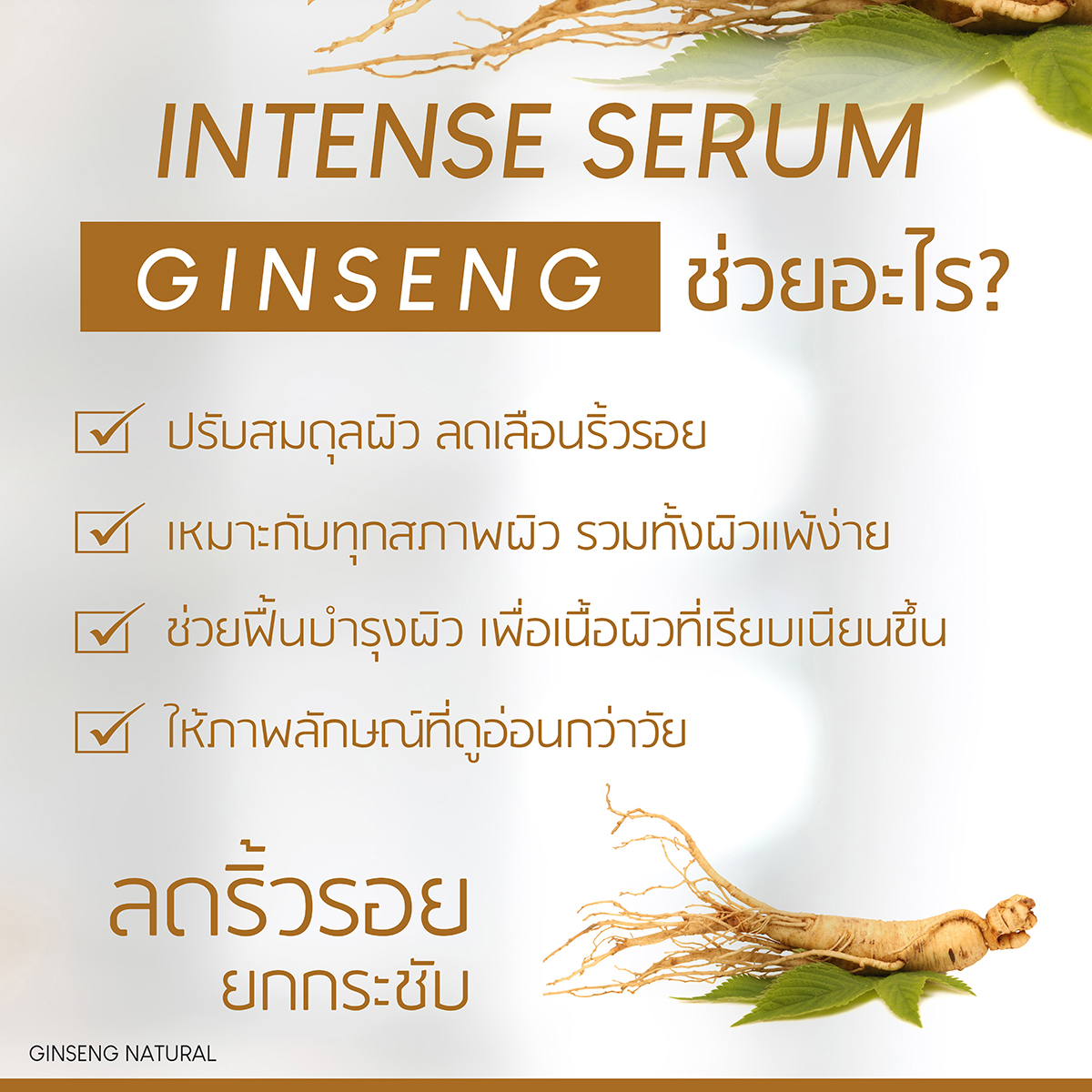 Plantnery Ginseng Facial Serum ปริมาณ 30ml