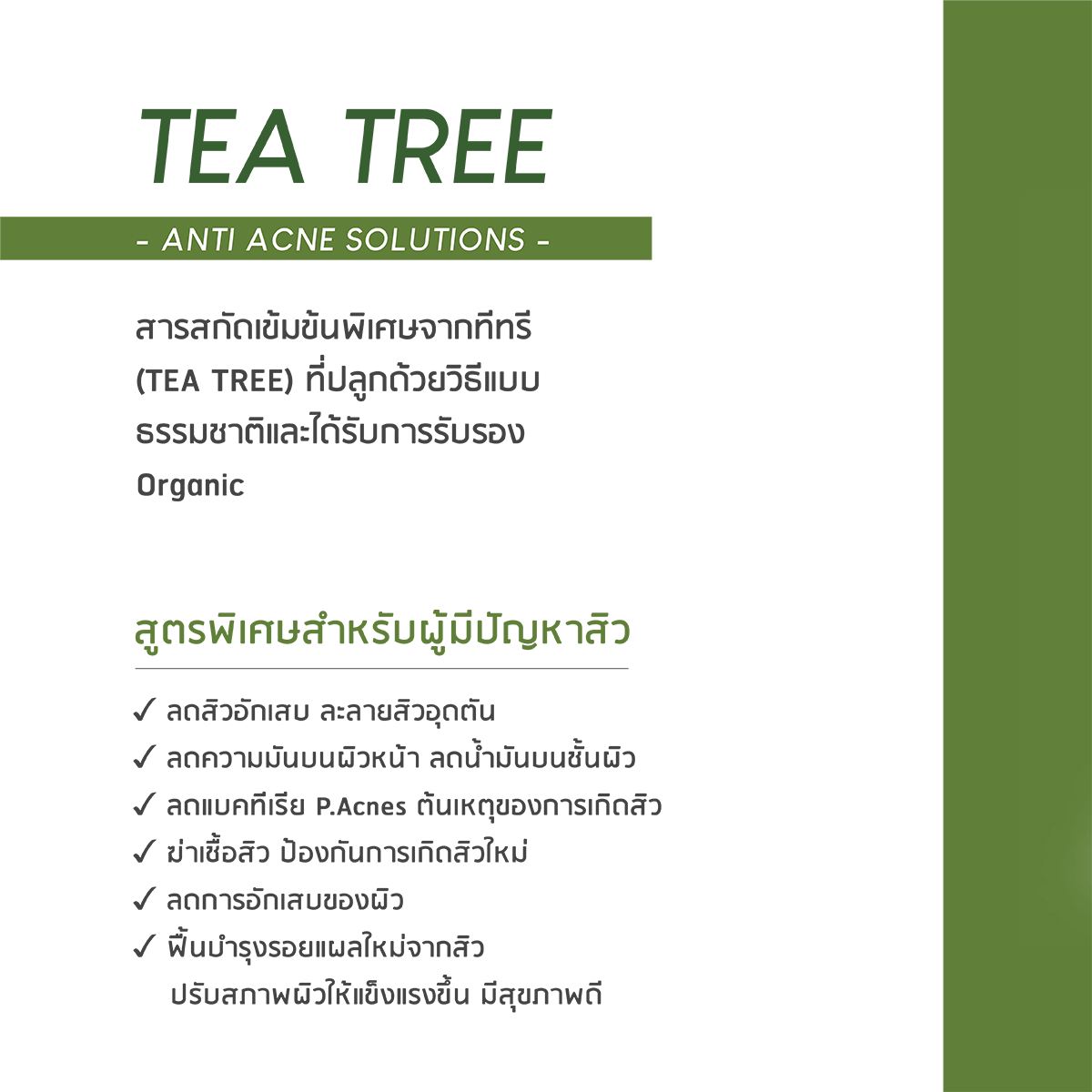 Plantnery Tea Tree Day Cream SPF30 PA+++ 50 g    มีคุณสมบัติ  - ลดสิวอักเสบ ละลายสิวอุดตัน  - ฟื้นบำรุงรอยแผลใหม่จากสิว  - ลดความมันและควบคุมความมันระหว่างวันได้ยาวนานถึง 8 ชั่วโมง  - ป้องกันการเกิดฝ้าแดด และจุดด่างดำ  - ลดโอกาสเกิดสิวอุดตันได้อย่างมีประสิทธิภาพ (Non-Comedogenic)  - ลดการสะสมของเชื้อ P.Acne ต้นเหตุของการเกิดสิว