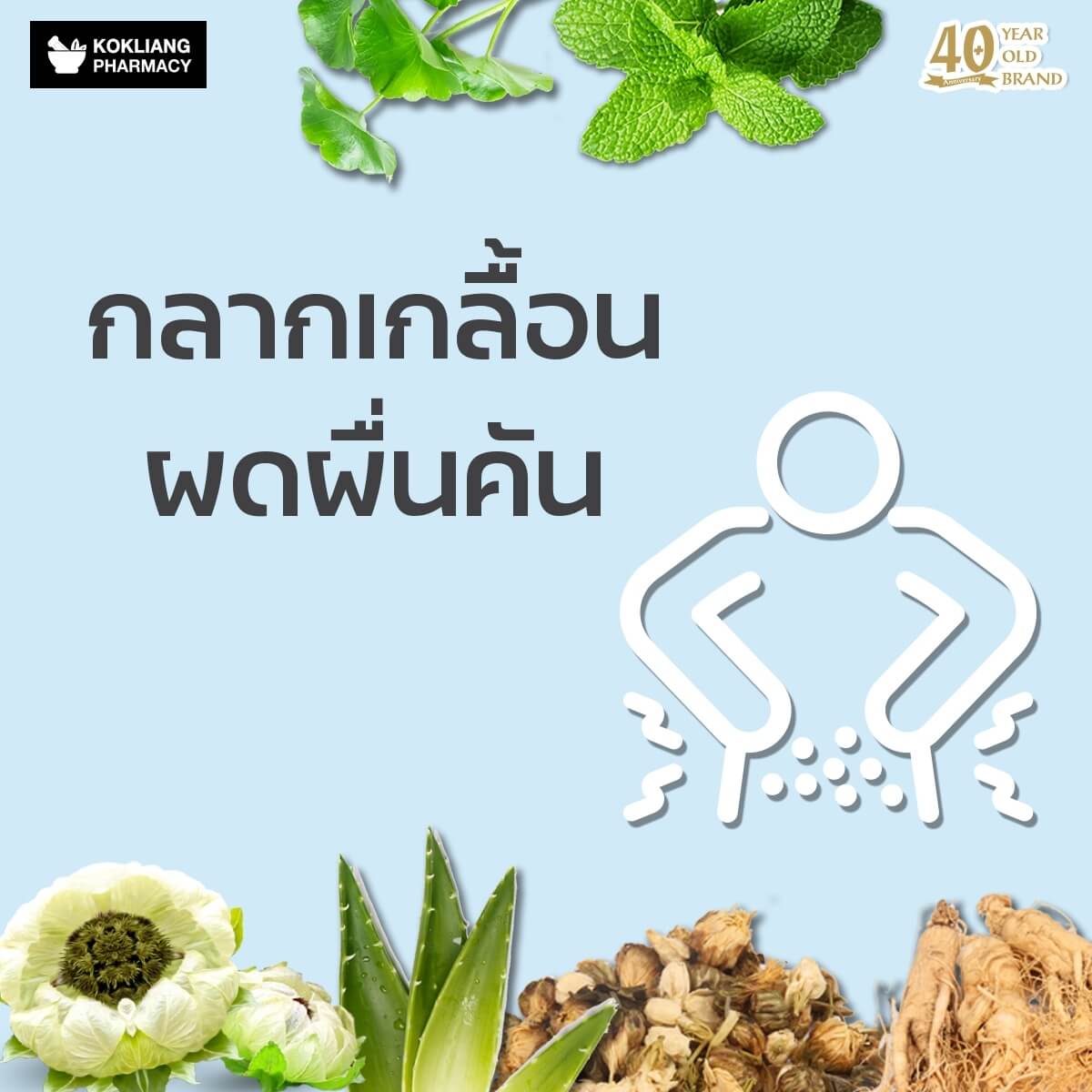 ก๊กเลี้ยง Kokliang ครีมบัวหิมะ 15 g  ในวงการแพทย์จีนรับรอง บัวหิมะ เป็นยอดสมุนไพรไร้คู่เปรียบของจีนมาช้านาน เพราะอุดมไปด้วยน้ำ แร่ธาตุและวิตามิน บอกได้เลยว่าเหมาะสำหรับผิวที่มีปัญหาแบบเร่งด่วน ผิวไหม้จากความร้อนและผดผื่นคัน   พร้อมผสานคุณค่าจากรากโสม พิมเสน ชามะลิ ใบบัวบกและอโลเวร่า ที่มีสรรพคุณลดบวมช้ำและคลายปวดเมื่อยกล้ามเนื้อ กระตุ้นการไหลเวียนของเลือดบริเวณแผลได้ดี เสริมสร้างเซลล์ผิวใหม่ทดแทนผิวเก่า หรือแผลอื่นๆที่จะกลายเป็นรอยแผลเป็น คลายปวดเมื่อยตามกล้ามเนื้อ   หากคุณยังไม่พอใจครีมหลายสิบขนานที่เคยใช้มาแล้ว ให้ครีมบัวหิมะเป็นองครักษ์พิทักษ์ผิวคุณไว้ที่บ้านหรือพกติดตัวก็ไม่เสียหาย