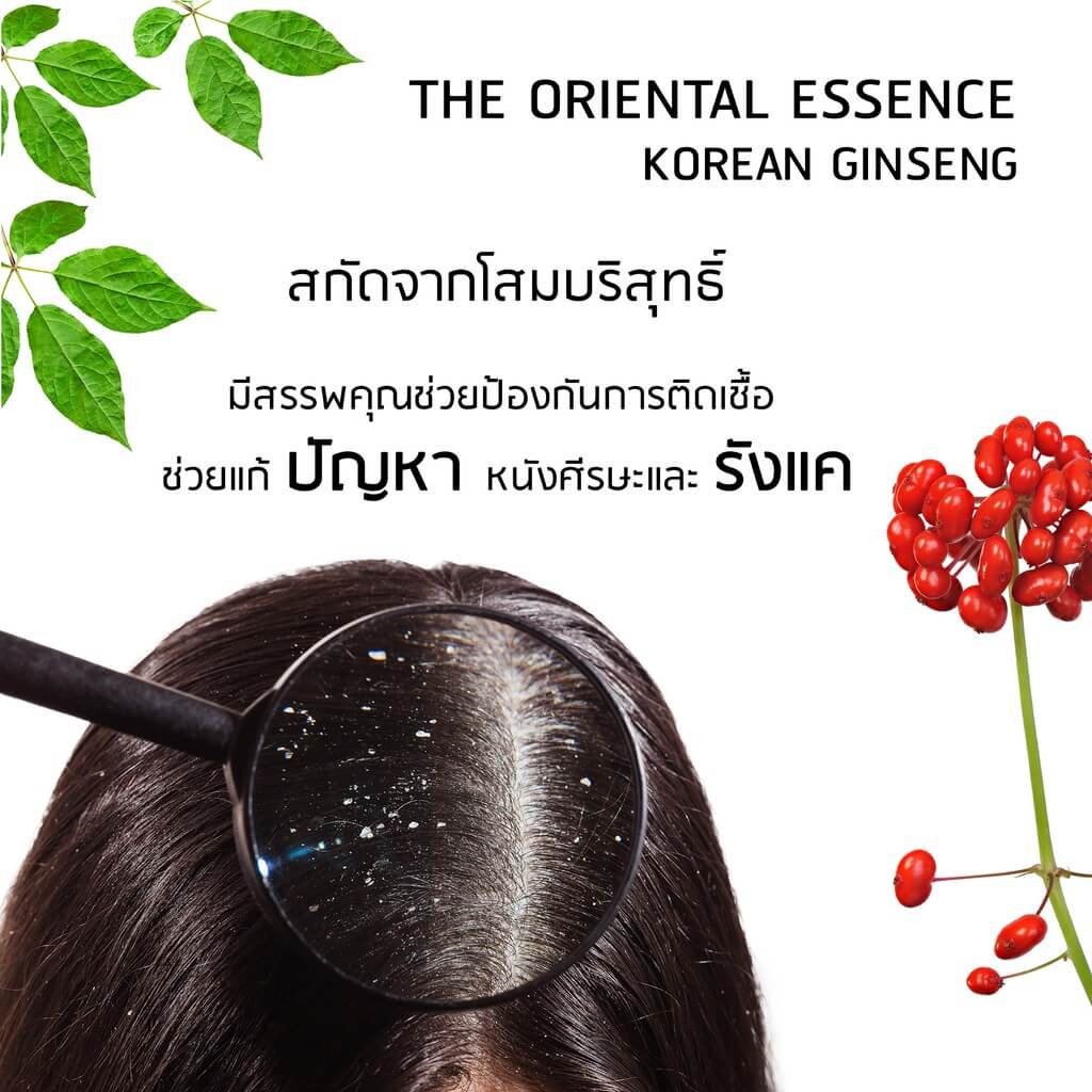 The Oriental Essence Korean Ginseng Shampoo