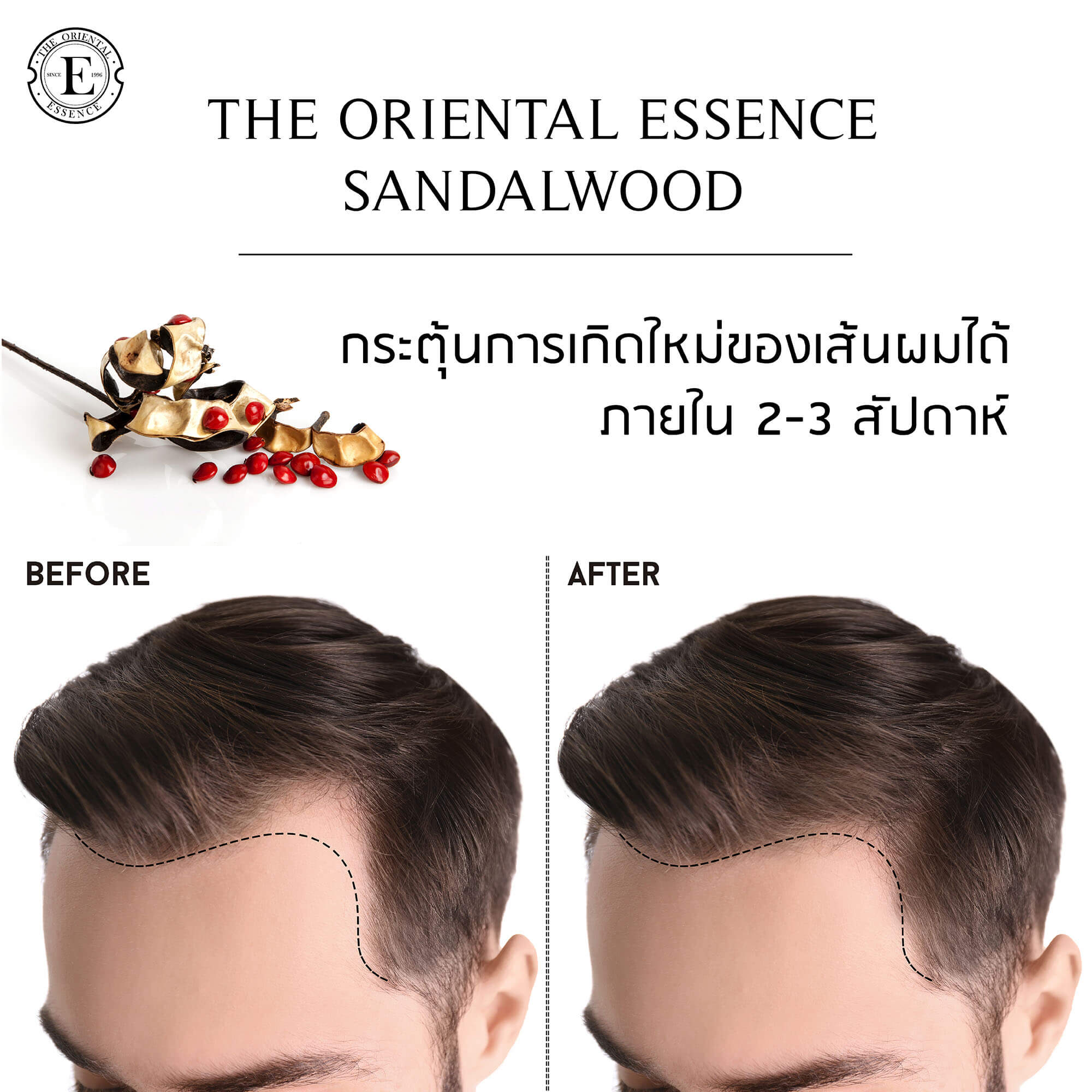 The Oriental Essence Sandalwood 