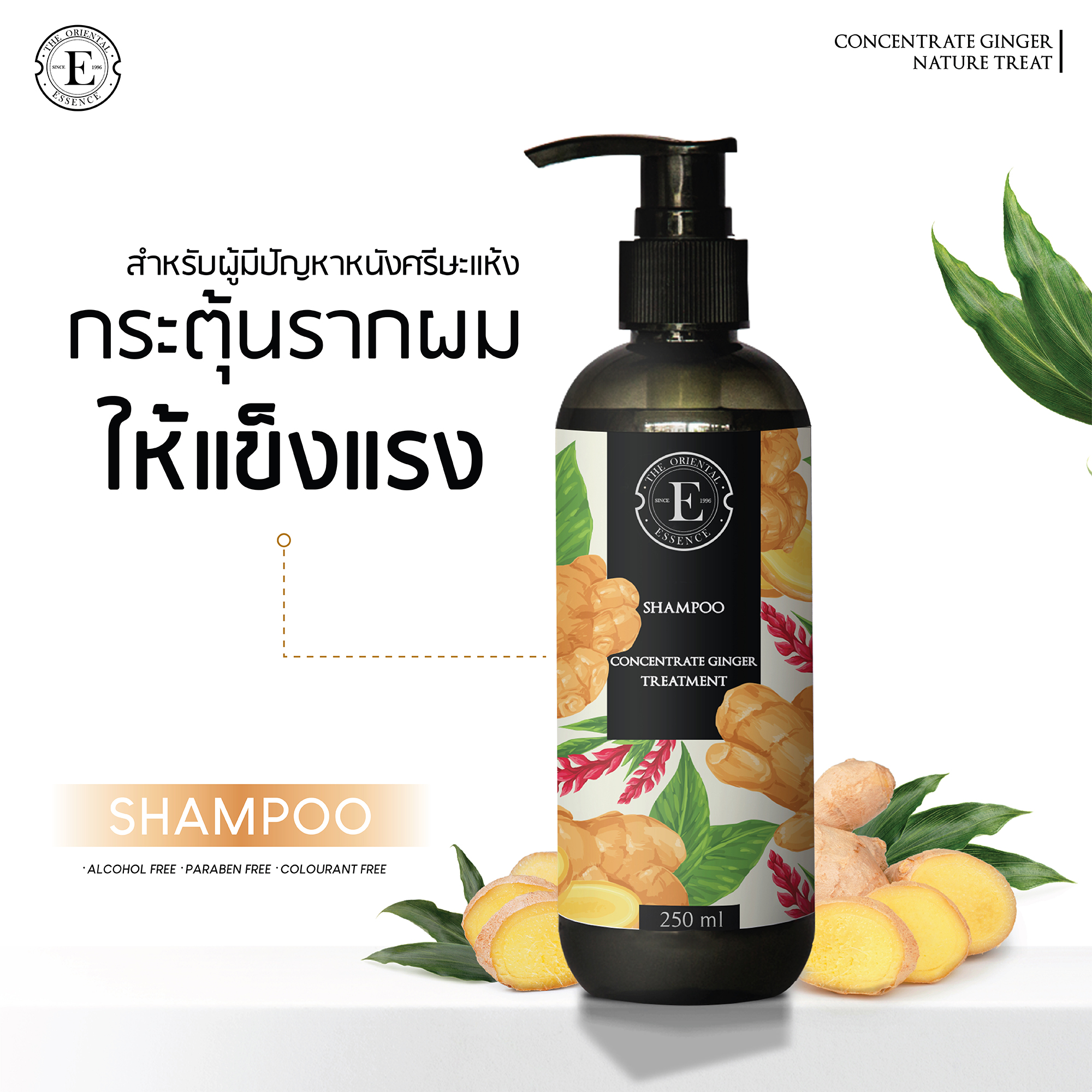 The Oriental Essence,Concentrate Ginger Shampoo,The Oriental Essence Concentrate Ginger Shampoo,แชมพูขิง,แชมพู