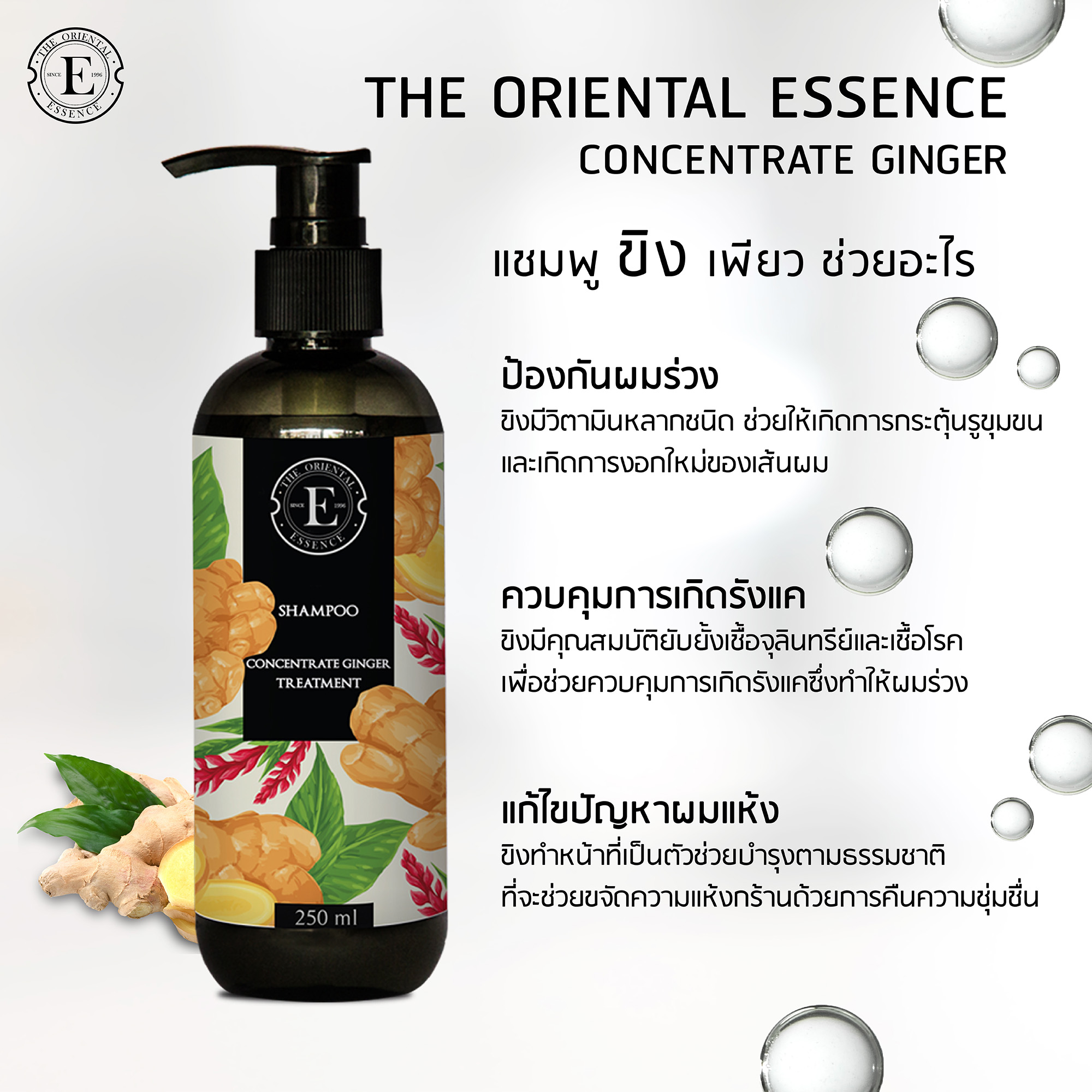 The Oriental Essence,Concentrate Ginger Shampoo,The Oriental Essence Concentrate Ginger Shampoo,แชมพูขิง,แชมพู