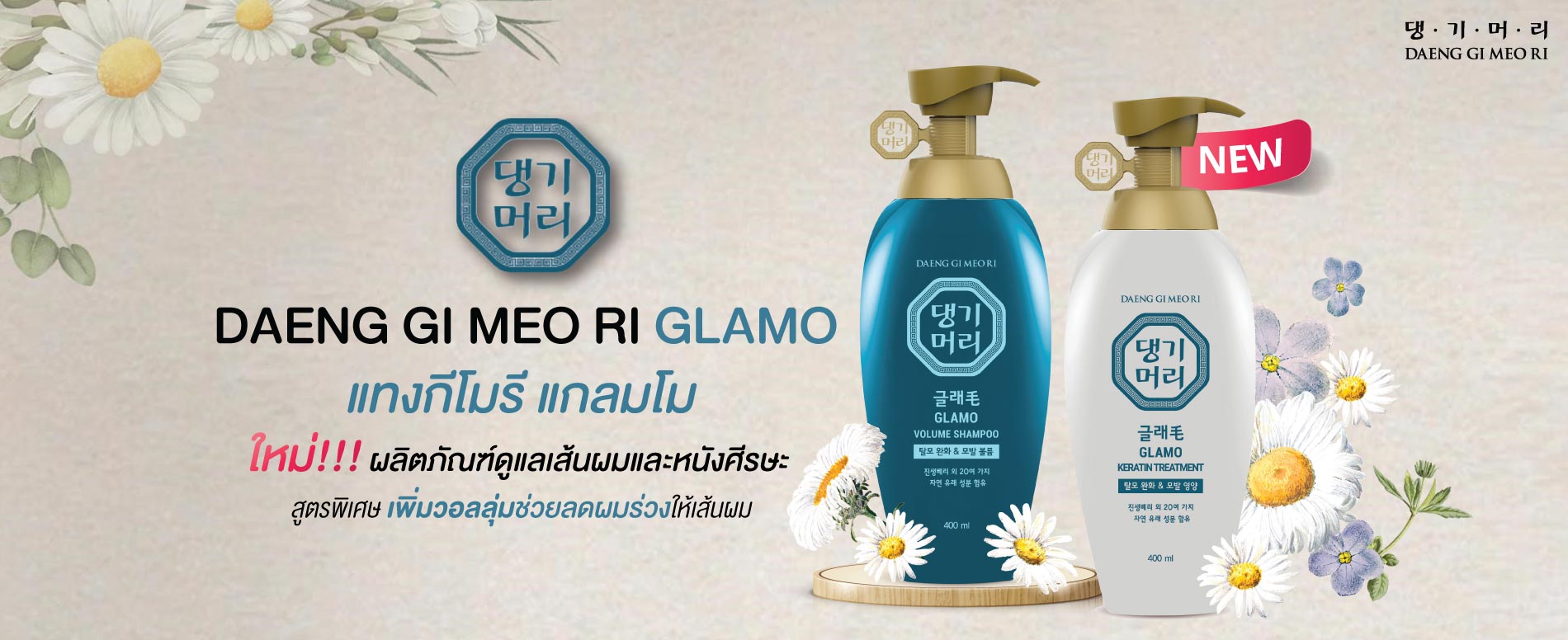 Daeng Gi Meo Ri, Daeng Gi Meo Ri รีวิว, Daeng Gi Meo Ri ราคา, Daeng Gi Meo Ri Glamo Volume Shampoo, Daeng Gi Meo Ri Glamo Volume Shampoo รีวิว, Daeng Gi Meo Ri Glamo Volume Shampoo ราคา, Daeng Gi Meo Ri แชมพู, Shampoo, แทงกีโมรี, แทงกีโมรี รีวิว, แทงกีโมรี แชมพู, แชมพูลดผมร่วง