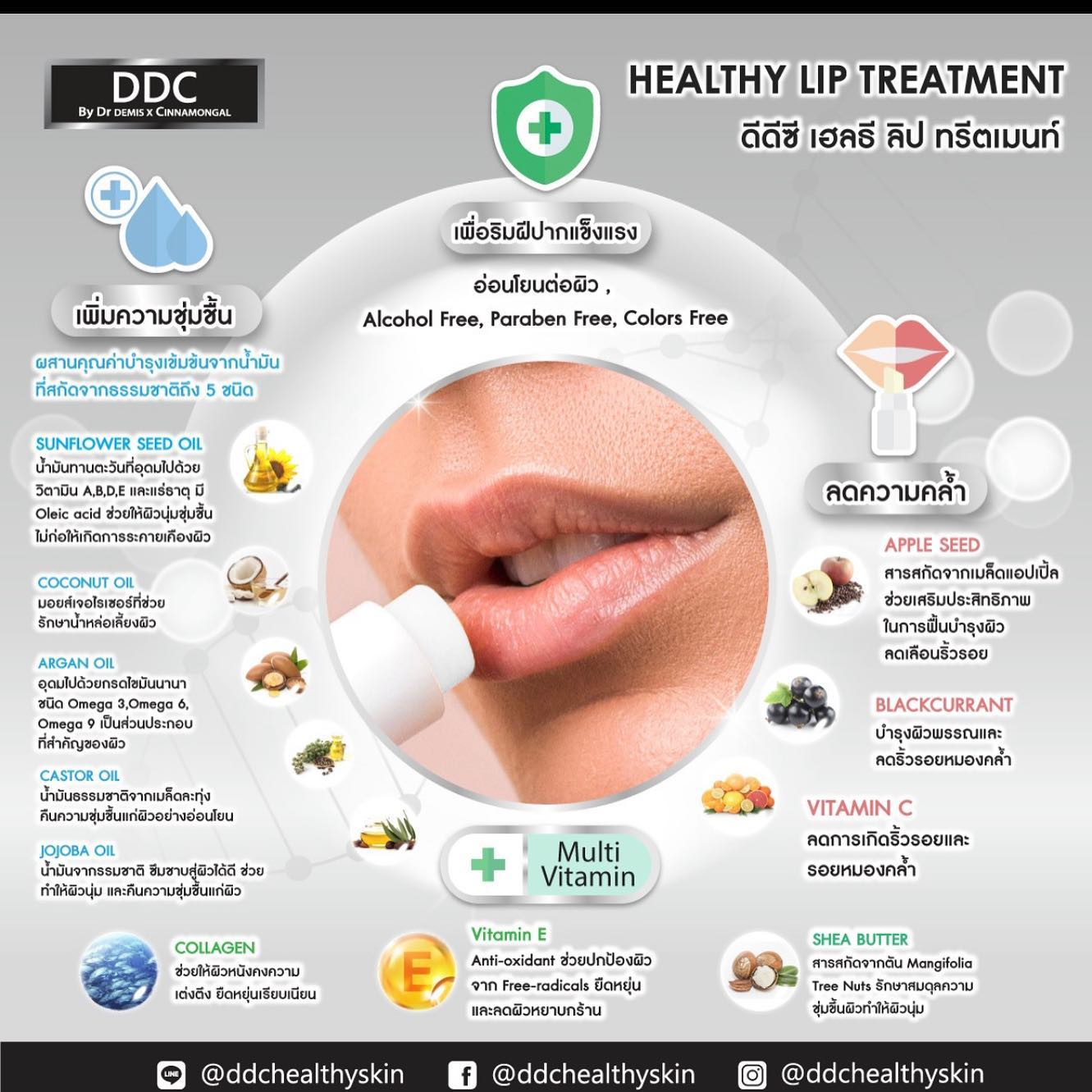DrDemisX Cinnamongal,DDC Healthy Lip Treatment 3.5g,DDC Healthy Lip Treatment 3.5g รีวิว,DDC Healthy Lip Treatment 3.5g ราคา,
