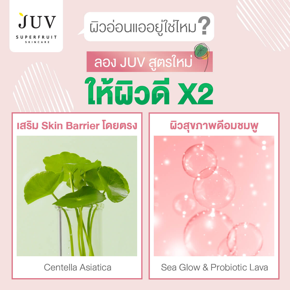 JUV Cream,JUV Skin Barrier Cica Ampoule + Sea glow & Lava-skinbio,Juv Skin Barrier Cica Cream + Sea glow & Lava-skinbio , Juv , จู๊ฟ , สกินแคร์สำหรับผิวแพ้ง่าย , ผิวแพ้ง่าย , ผิวมัน , ปัญหาสิว , ริ้วรอย