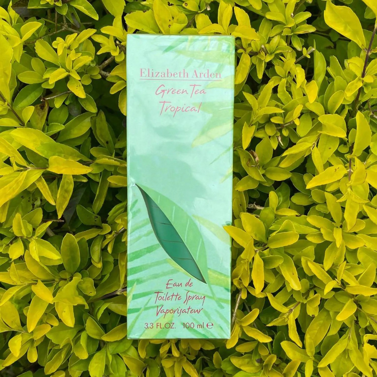 Elizabeth Arden green tea tropical EDT 100 ml น้ำหอมสำหรับผู้หญิง กลิ่นธรรมชาติ หวานๆ ผลไม้ๆ ให้ความรู้สึกสดชื่น คลายร้อน