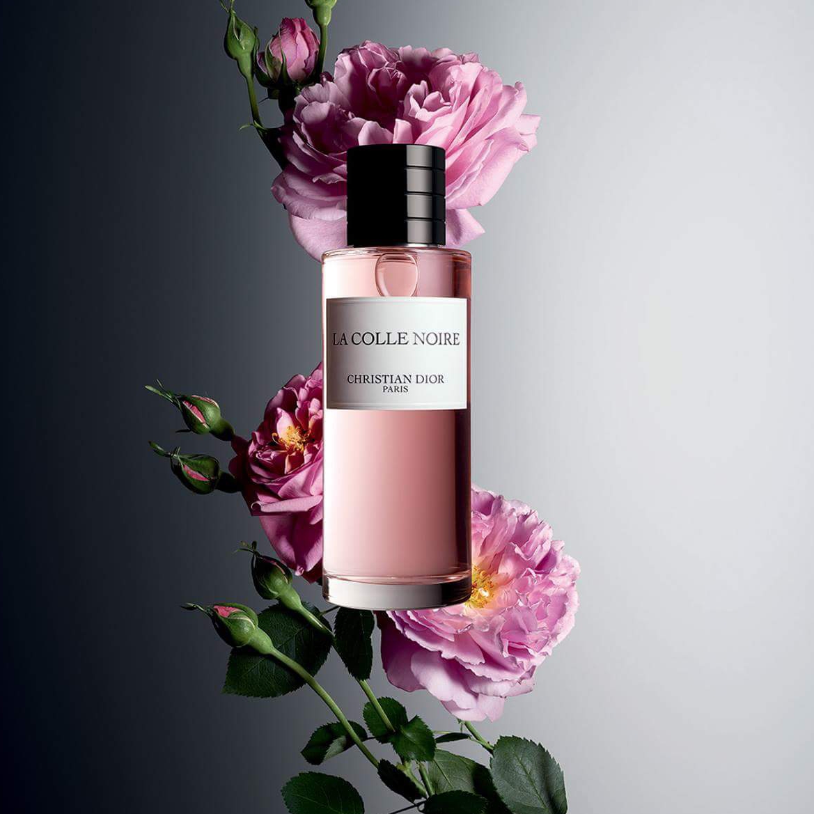 La Colle Noire เป็นชื่อของอสังหาริมทรัพย์ที่ Christian Dior ซื้อในปี 1951 ซึ่งกลายเป็นสวรรค์แห่งดอกไม้ของเขา ซึ่งเป็นสวรรค์แห่งความสงบอย่างแท้จริง น้ำหอม La Colle Noire เป็นดั่งบทกวีของ May Rose ที่แผ่ซ่านไปทั่วสวน แต่งขึ้นเหมือนภาพวาดกลิ่นของสถานที่และดอกไม้ในตำนาน  CHARACTER น้ำหอม La Colle Noire แต่งแต้มภาพลักษณ์ที่เผ็ดร้อนของ May Rose ด้วยบุคลิกที่แข็งแกร่ง ส่วนประกอบของกลิ่นถูกปรุงแต่งด้วยความงามและความฉุนเฉียวของดอกไม้สีน้ำผึ้งแห่งกามารมณ์นี้  คุณสมบัติเด่น กลิ่นหอมกุหลาบ พริกไทย ล่องลอยอยู่ในอากาศระหว่างการเก็บเกี่ยว สี สีชมพูสดใสของดอกไม้ ซึ่งความแตกต่างจะแตกต่างกันไปตามมุมของแสงแดดในทุ่ง Grasse และสวนดอกไม้ของ Château de La Colle