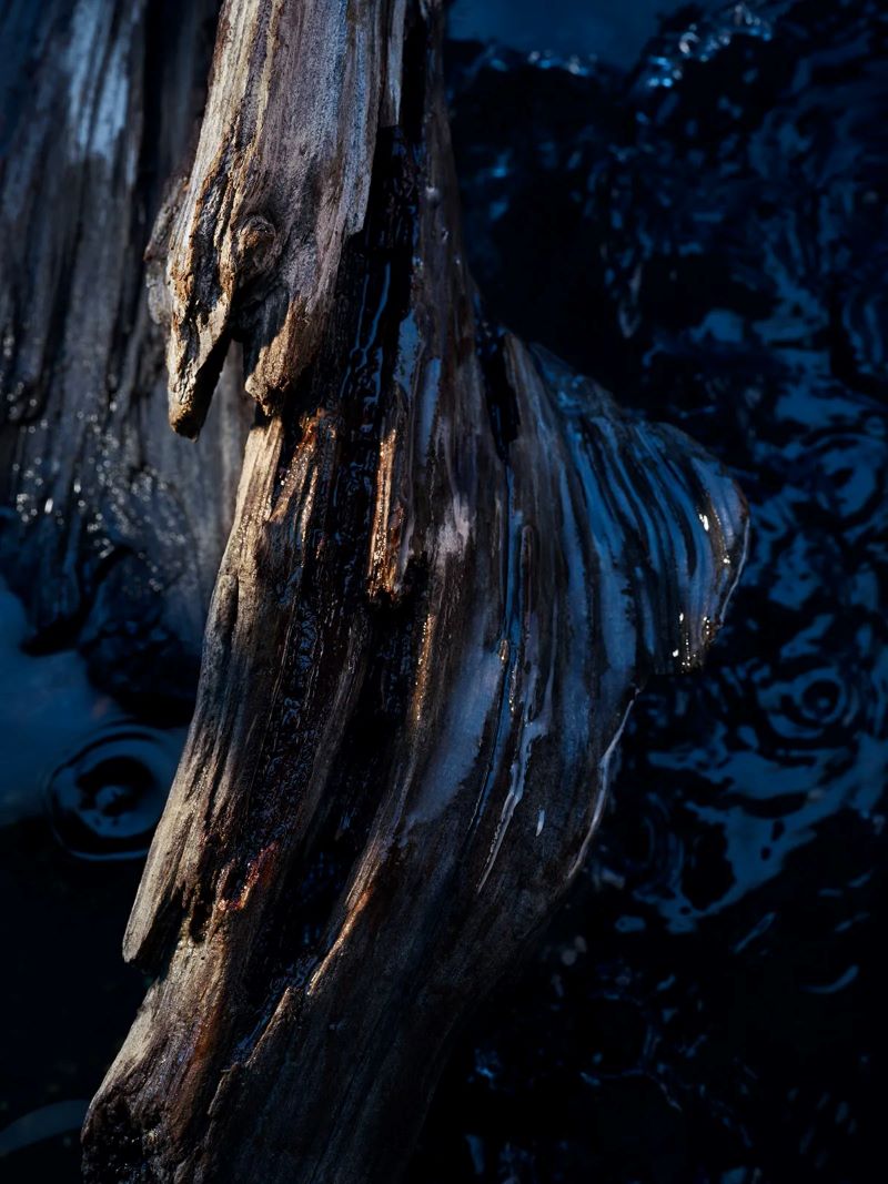 Dior Sauvage Eau Forte Parfum 10ml ,Dior,Dior Sauvage น้ำหอมดิออร์ , น้ำหอมผู้ชาย , Dior Sauvage Eau Forte Parfum ราคา, Dior Sauvage Eau Forte Parfum รีวิว