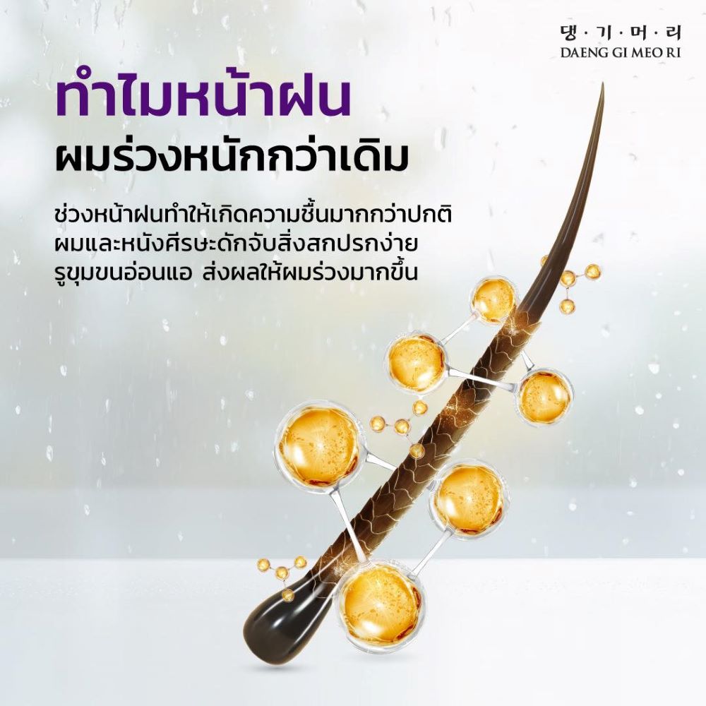 DAENG-GI-MEO-RI Treatment 500 ml (Jingi Anti-Hair Loss) ,DAENG-GI-MEO-RI Treatment ราคา , DAENG-GI-MEO-RI Treatment รีวิว ,DAENG-GI-MEO-RI , ทรีทเมนต์ , Treatment